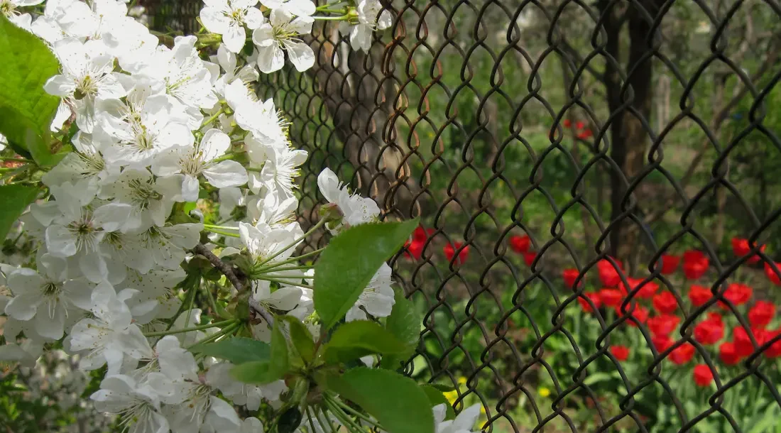 Koristeverkko kevyempään rajaukseen